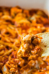 zoomed in image of a tortilla chip full of dip.