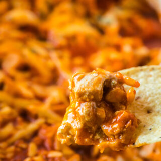 zoomed in image of a tortilla chip full of dip.