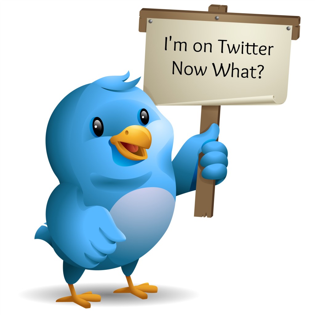 I'm on Twitter. Now What?