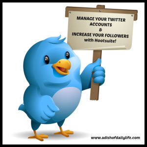 Manage Your Twitter Accounts & Increase Your Followers Using Hootsuite