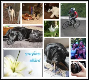 10 Things that Brighten My Day