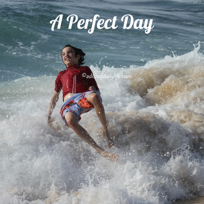 A Perfect Day