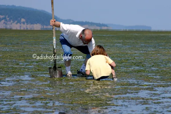 Clamming