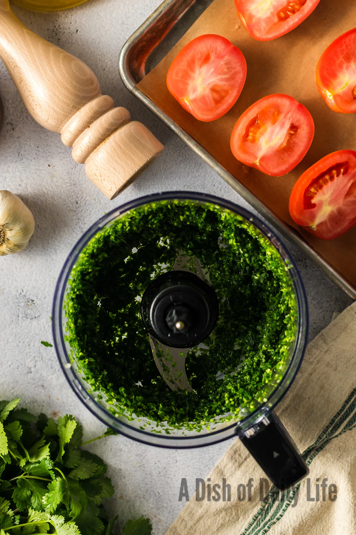 cilantro and olive oil added to garlic cloves in food processor