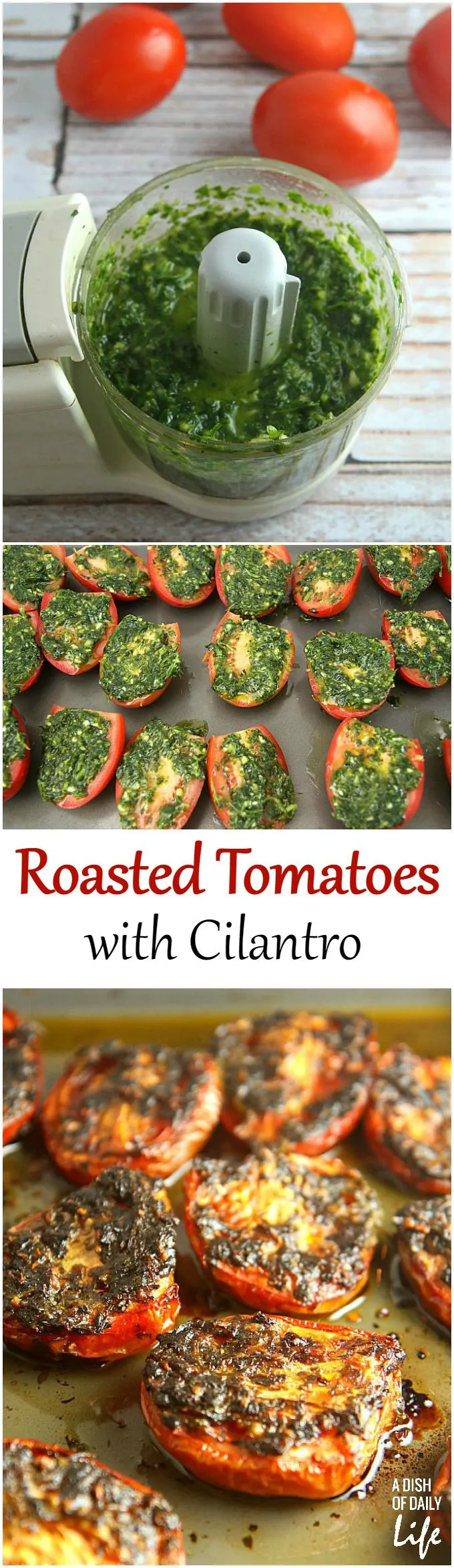 Roasted Tomatoes with Cilantro, Mexican style....eat them with bread, use them as a topping for fish or chicken. or make quesadillas with them . These delicious roasted tomatoes are the perfect addition to any Mexican dish! Save your leftovers (if you have any!) covered with olive oil in a jar in your fridge...I guarantee they won't last long!