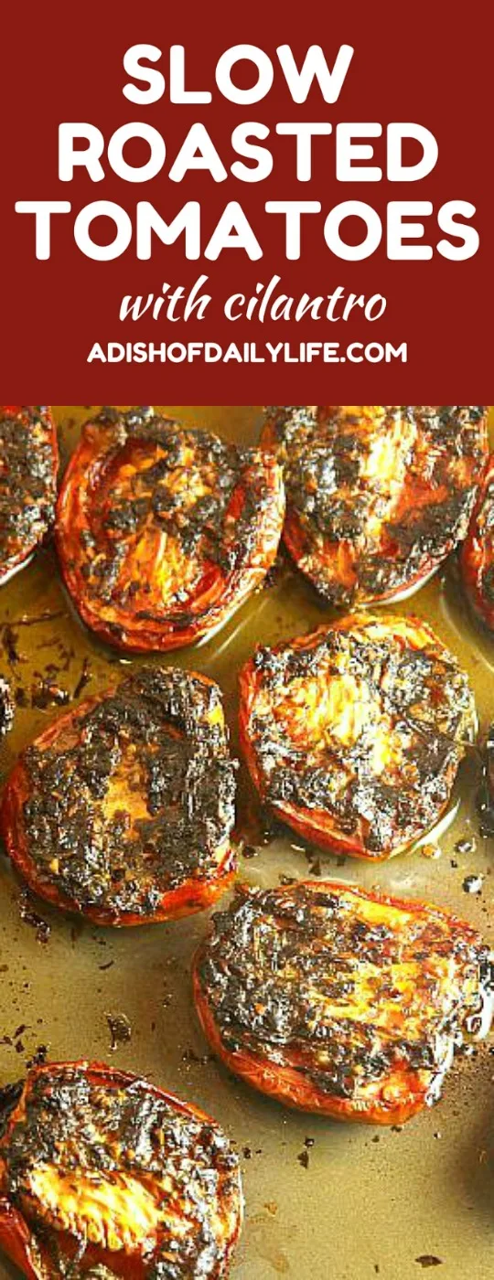 Roasted Tomatoes with Cilantro, Mexican style....make quesadillas with them, or use them as a topping for fish or chicken or even bread! This delicious roasted tomato recipe is the perfect addition to any Mexican recipe! Save your leftovers (if you have any!) covered with olive oil in a jar in your fridge...I guarantee they won't last long!