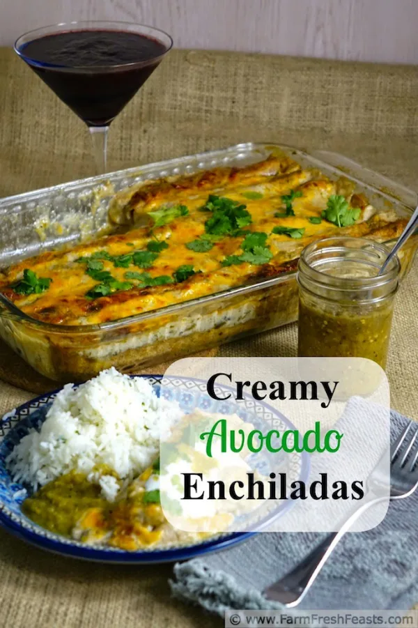 Creamy Avocado Enchiladas