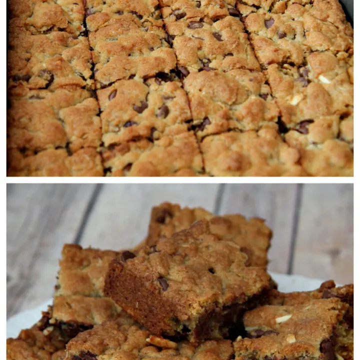 Chocolate Chip Granola Bar Cookies