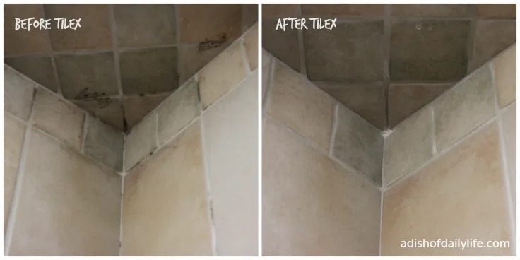 Mold Treatment Before and After Tilex