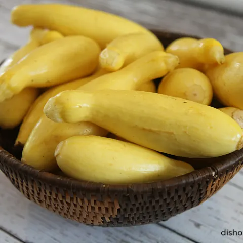 yellow squash for Kousa