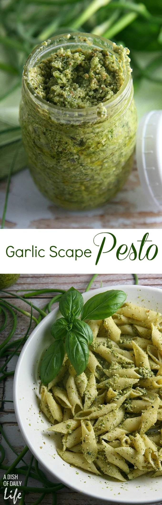 Garlic Scapes Pesto...serve this vegetarian farmer's market favorite over pasta or chicken, spread on sandwiches or paninis, or even as an appetizer dip for bread! It freezes well too.