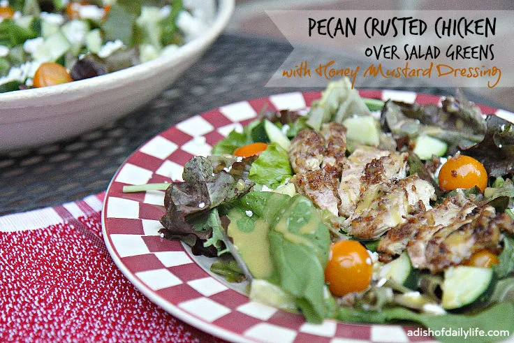 Pecan Crusted Chicken with Salad Greens and Honey Mustard Dressing