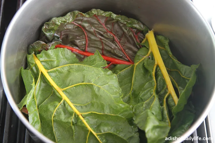 Prepping the bottom of the pot for stuffed grape leaves