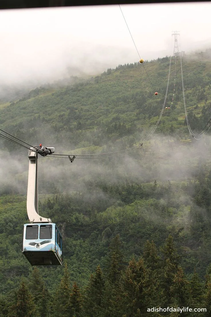 Scenic Aerial Tram to Seven Glaciers Restaurant