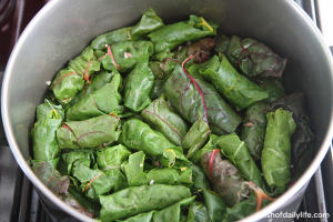 Stuffed swiss chard nestled in the pot as tightly as possible