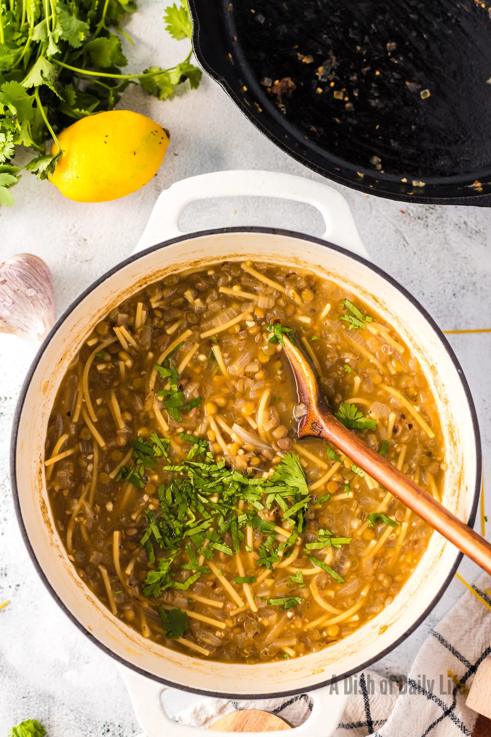 Soup pot cooked and ready with a sprinkle of cilantro added