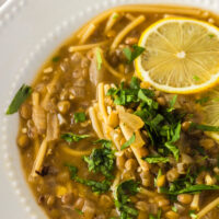 zoomed in image of soup in a bowl with lemon slices