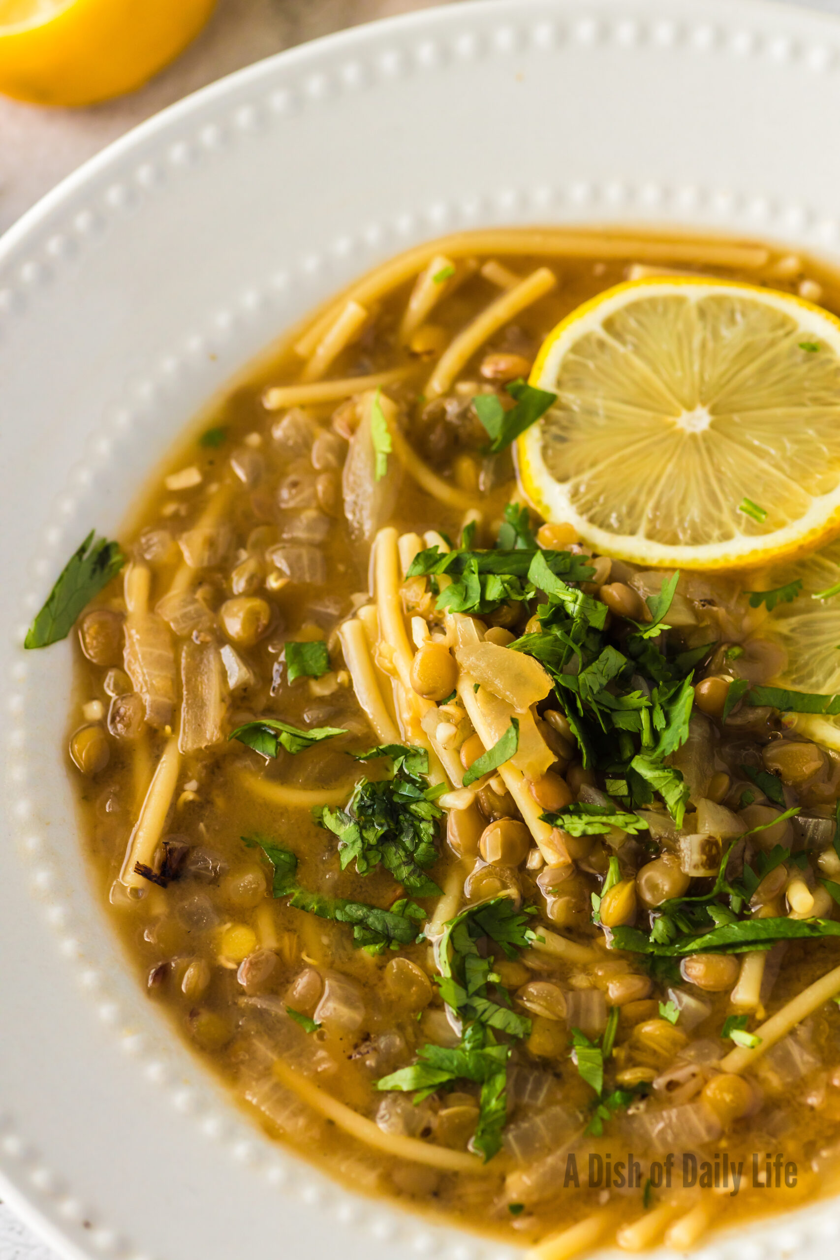 zoomed in image of soup in a bowl with lemon slices