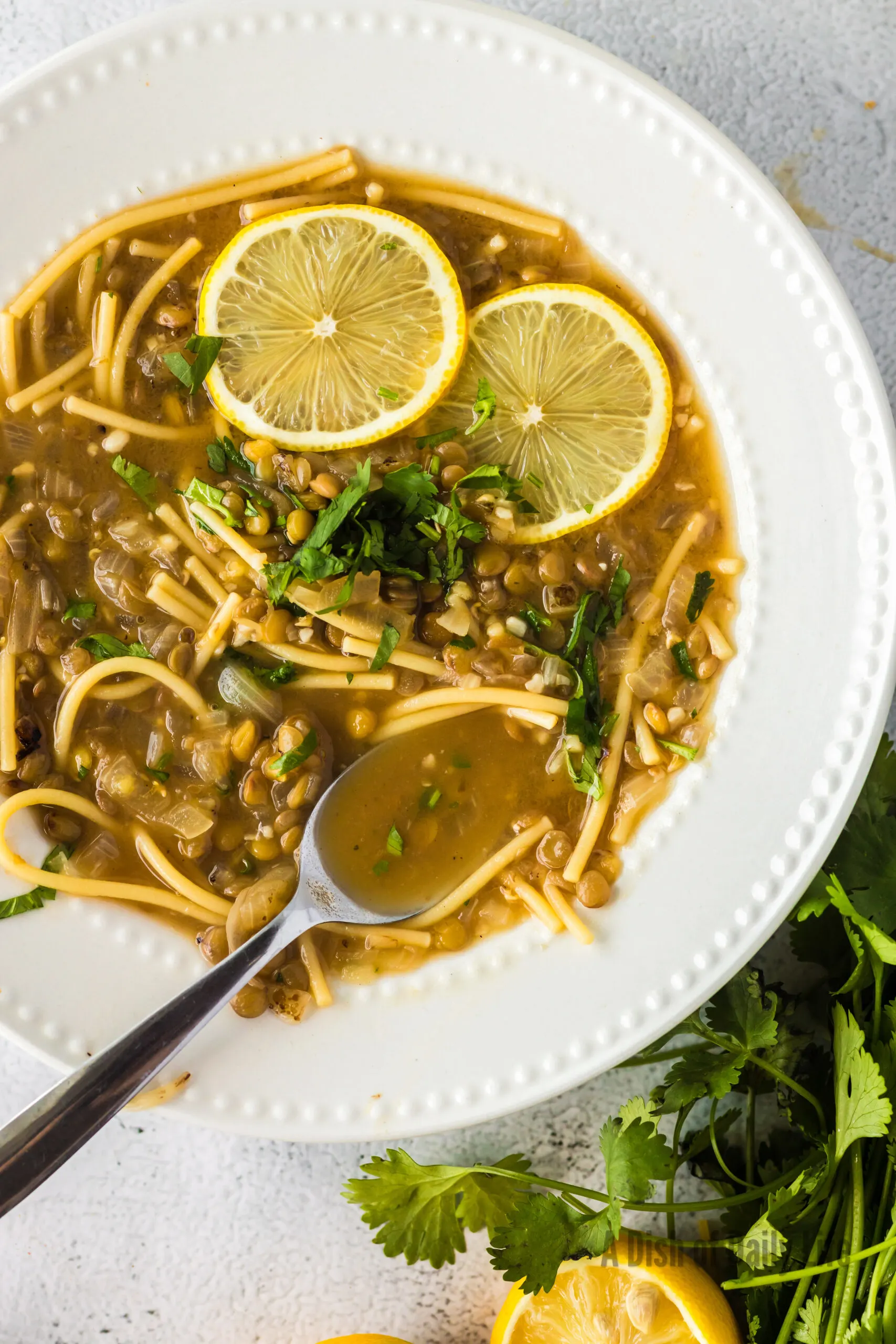 bowl full of soup with a spoon full of broth