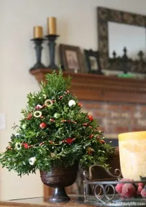 Christmas Tree Topiary