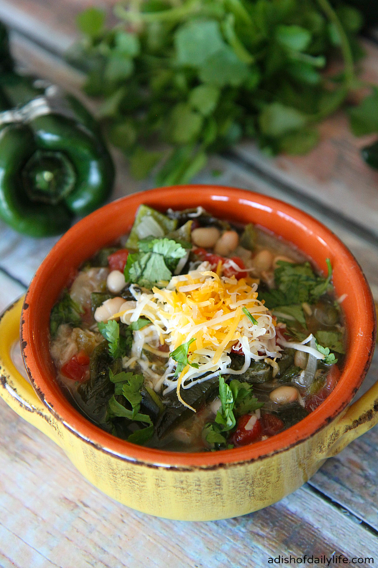 Slow Cooker Spicy Pork Green Chile Stew...perfect for your game day party crowd or a hearty weeknight dinner! Follow the recipe as is when making your weeknight dinner, and you'll have enough to freeze for leftovers!