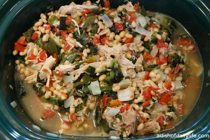 Spicy Pork Green Chile Stew in the slow cooker