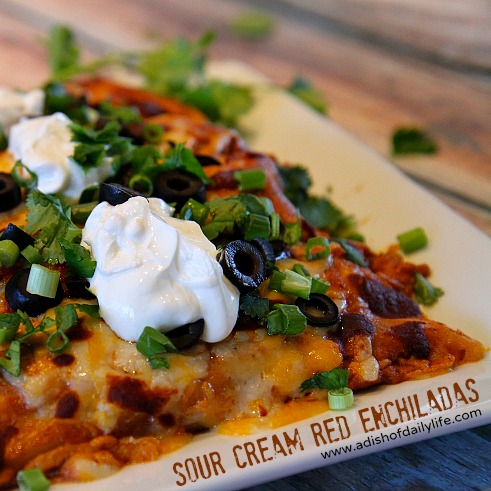 Cheesy Sour Cream Red Enchiladas