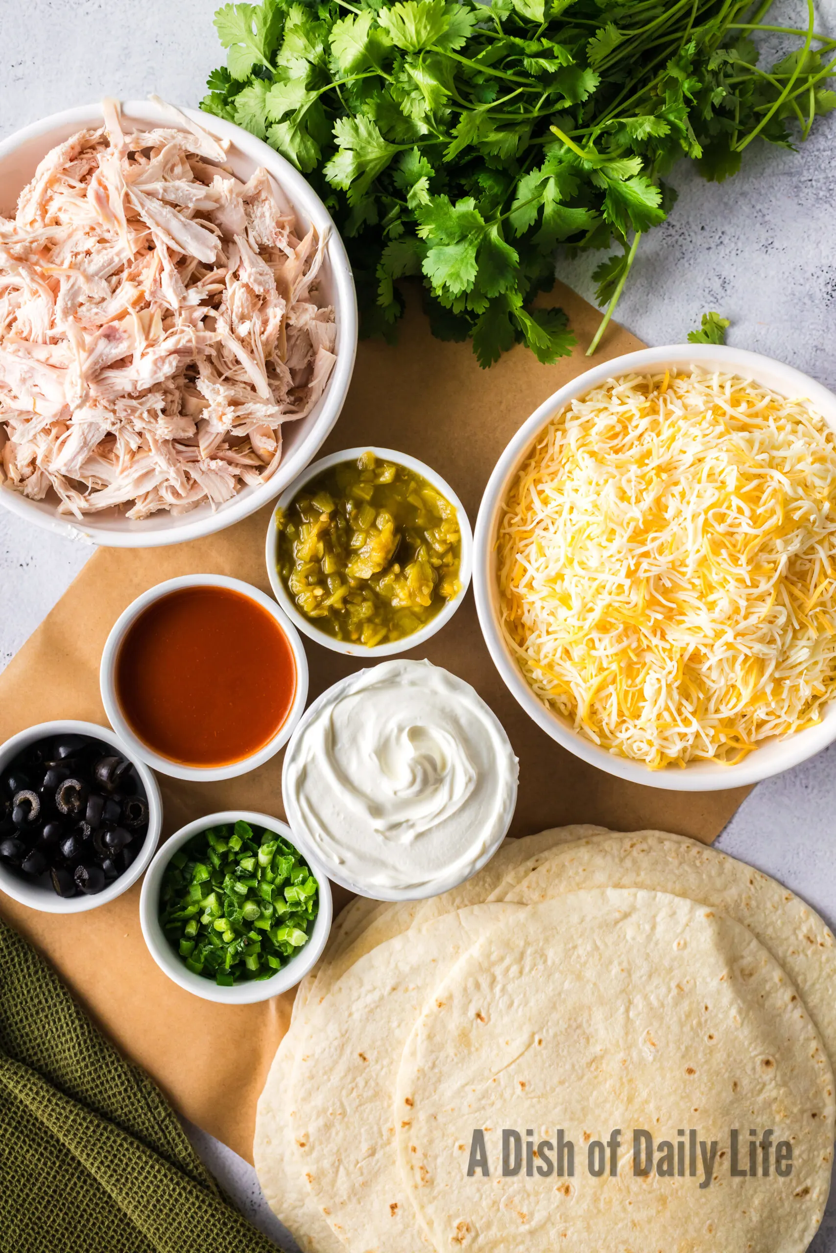 All ingredients laid out on counter for sour cream red enchiladas