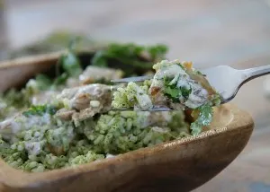 Middle Eastern Yogurt Chicken with Cilantro Rice