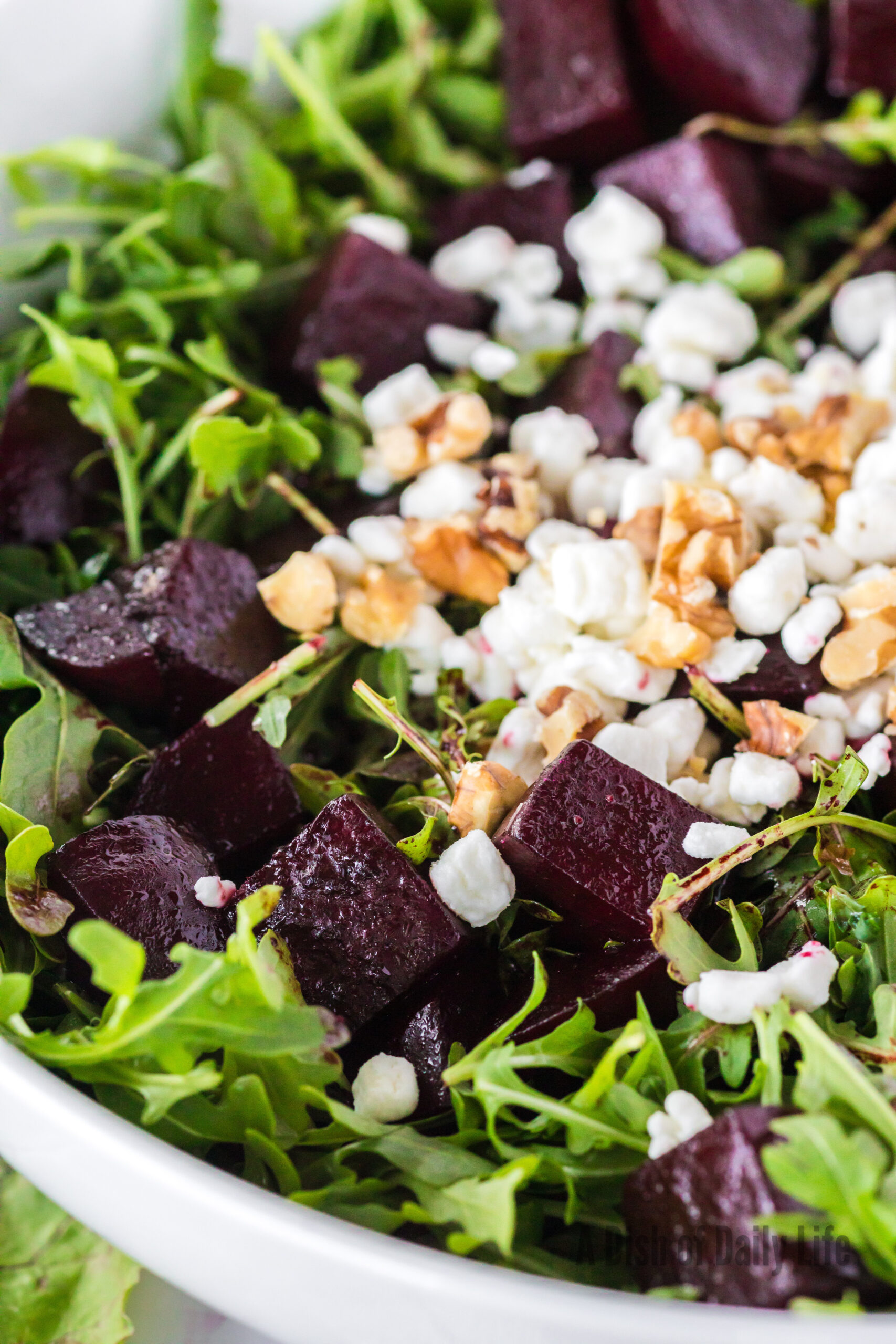 zoomed in image of beet salad in bowl with goat cheese