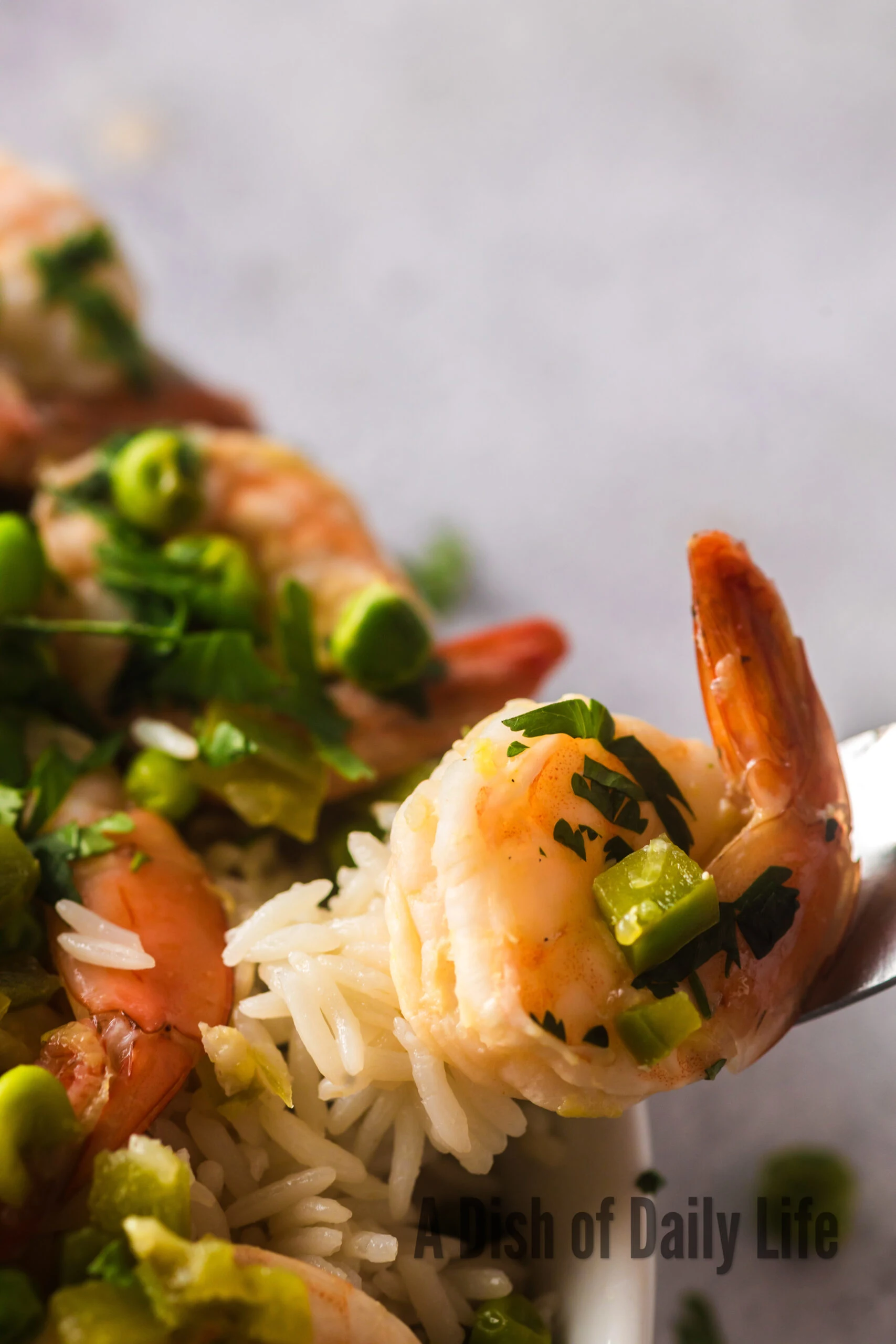 cooked shrimp with rice on a fork.