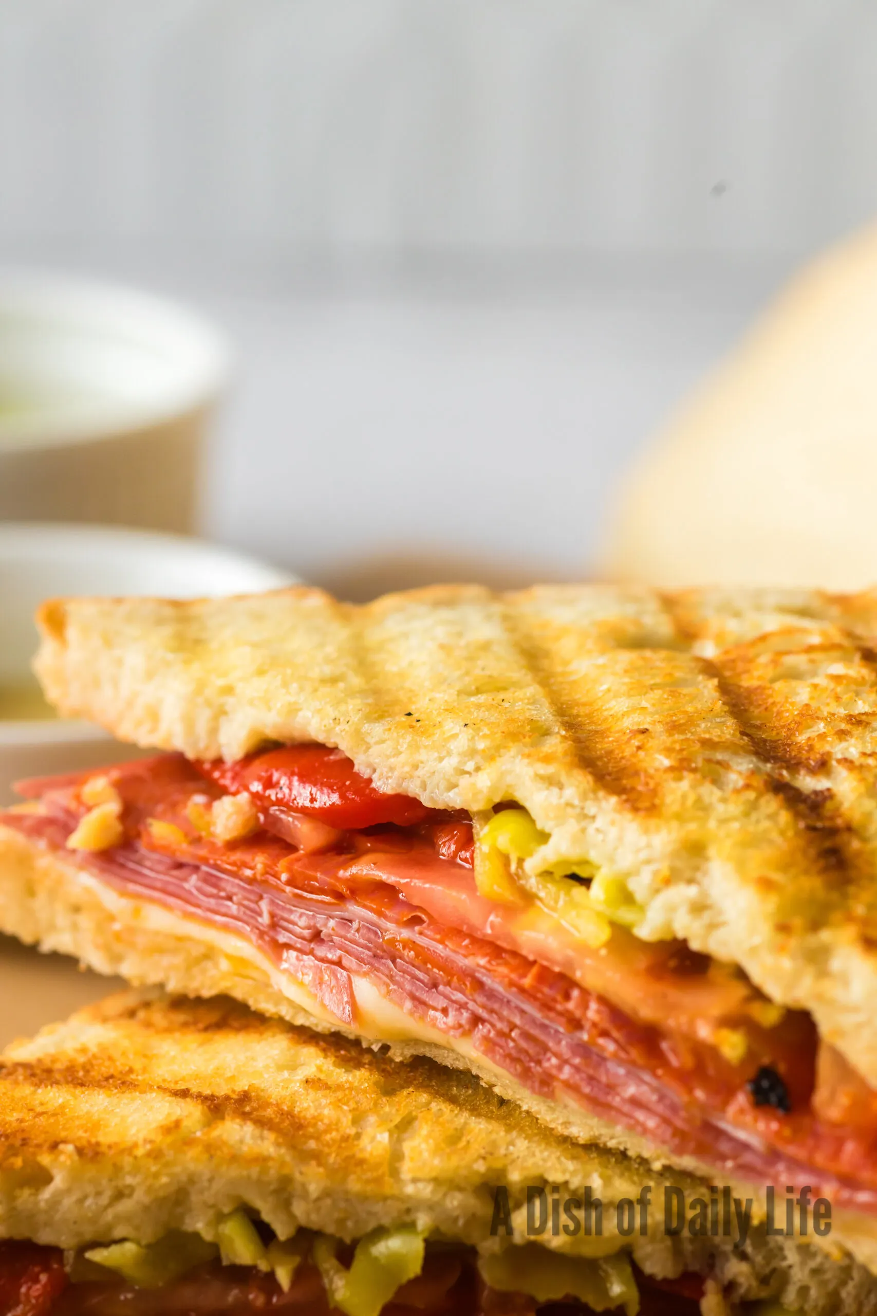 zoomed in panini to show yummy fillings