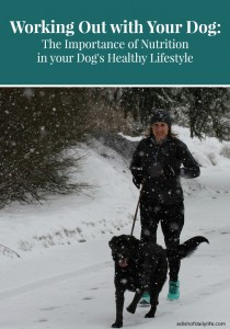 Working Out with Your Dog: The Importance of Nutrition in your Dog's Healthy Lifestyle #ProPlanPet #ad