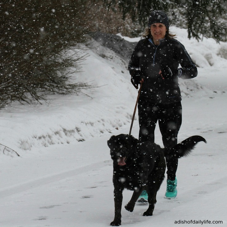 Working out with Your Dog