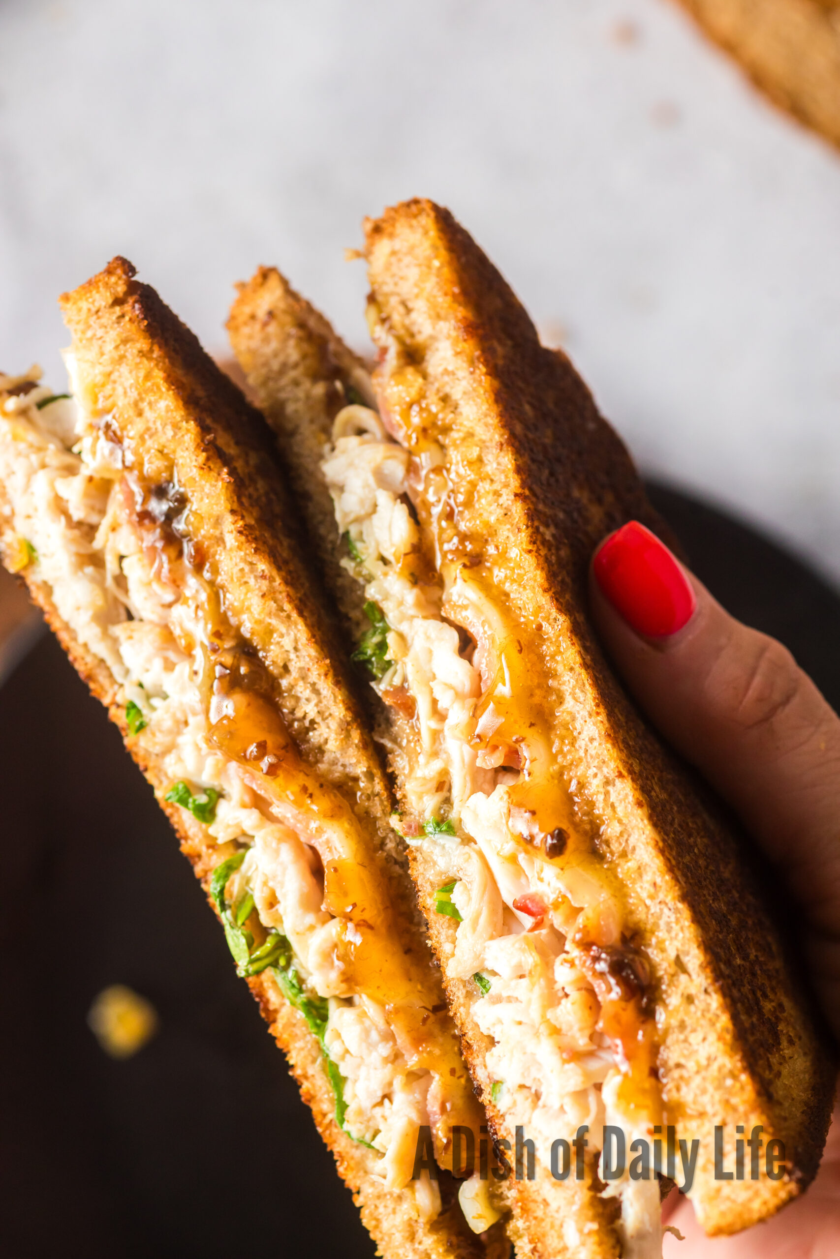 hand holding cut sandwich.