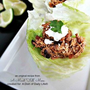 square pineapple chicken wrap (1)