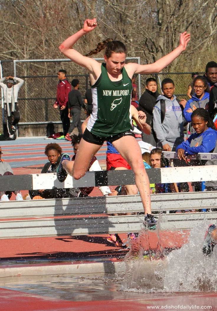 steeplechase