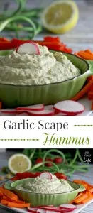Garlic Scape Hummus...a healthy snack or appetizer the whole family will love!