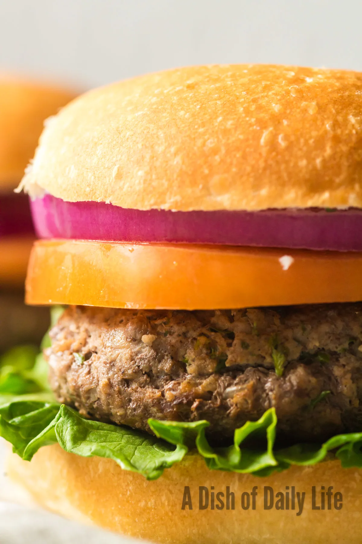 zoomed in image of burgers with lettuce, tomato and onion