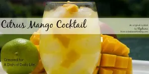 With the perfect combination of tart and sweet, this Citrus Mango Cocktail recipe with vodka and freshly squeezed juice is sure to be one of your new favorite summer drinks!
