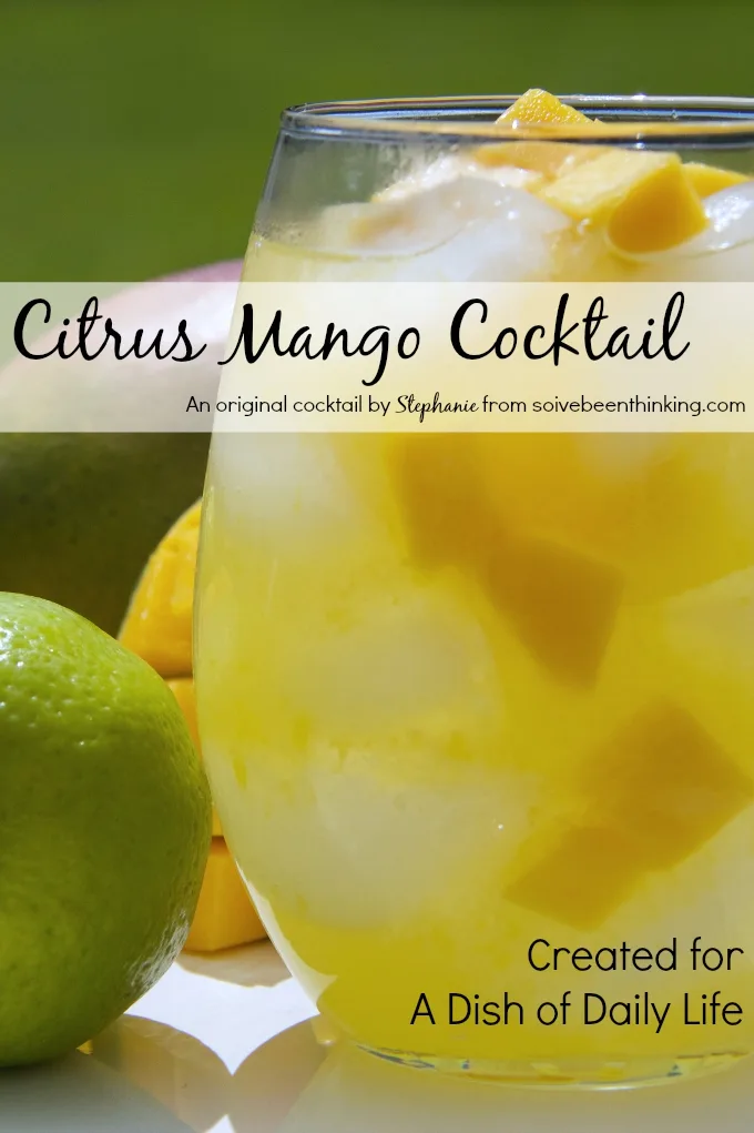 With the perfect flavor combination of tart and sweet, this Citrus Mango Cocktail recipe with vodka and freshly squeezed juice is sure to be one of your new favorite summer drinks!