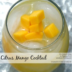 With the perfect combination of tart and sweet, this Citrus Mango Cocktail recipe with vodka and freshly squeezed juice is sure to be one of your new favorite summer drinks!
