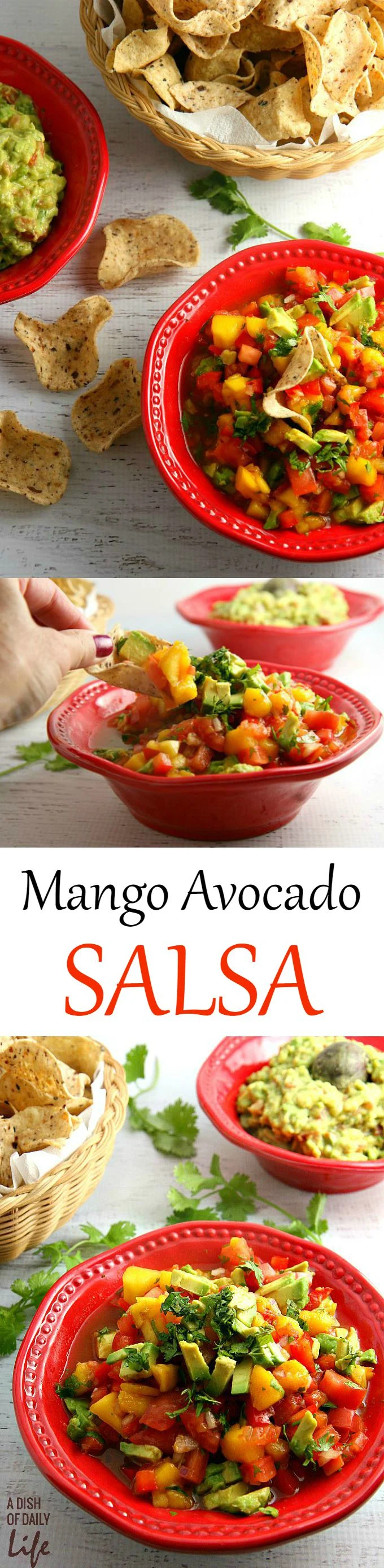 Get ready for a flavor explosion of deliciousness with this Avocado Mango Salsa recipe! This crowd pleaser is great as a party appetizer served with chips, or served as an accompaniment to seafood or chicken.