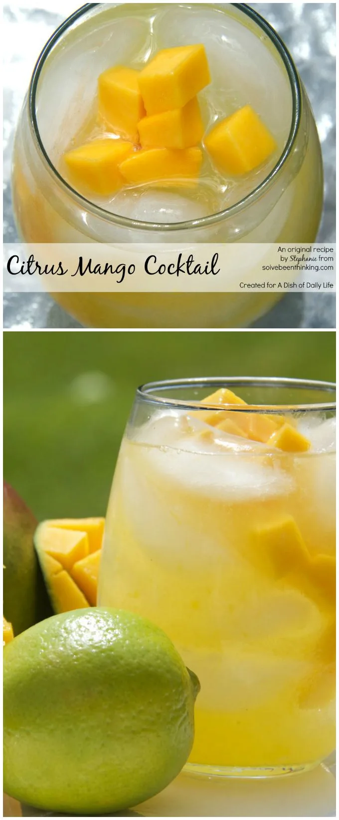 With the perfect flavor combination of tart and sweet, this Citrus Mango Cocktail recipe with vodka and freshly squeezed juice is sure to be one of your new favorite summer drinks!