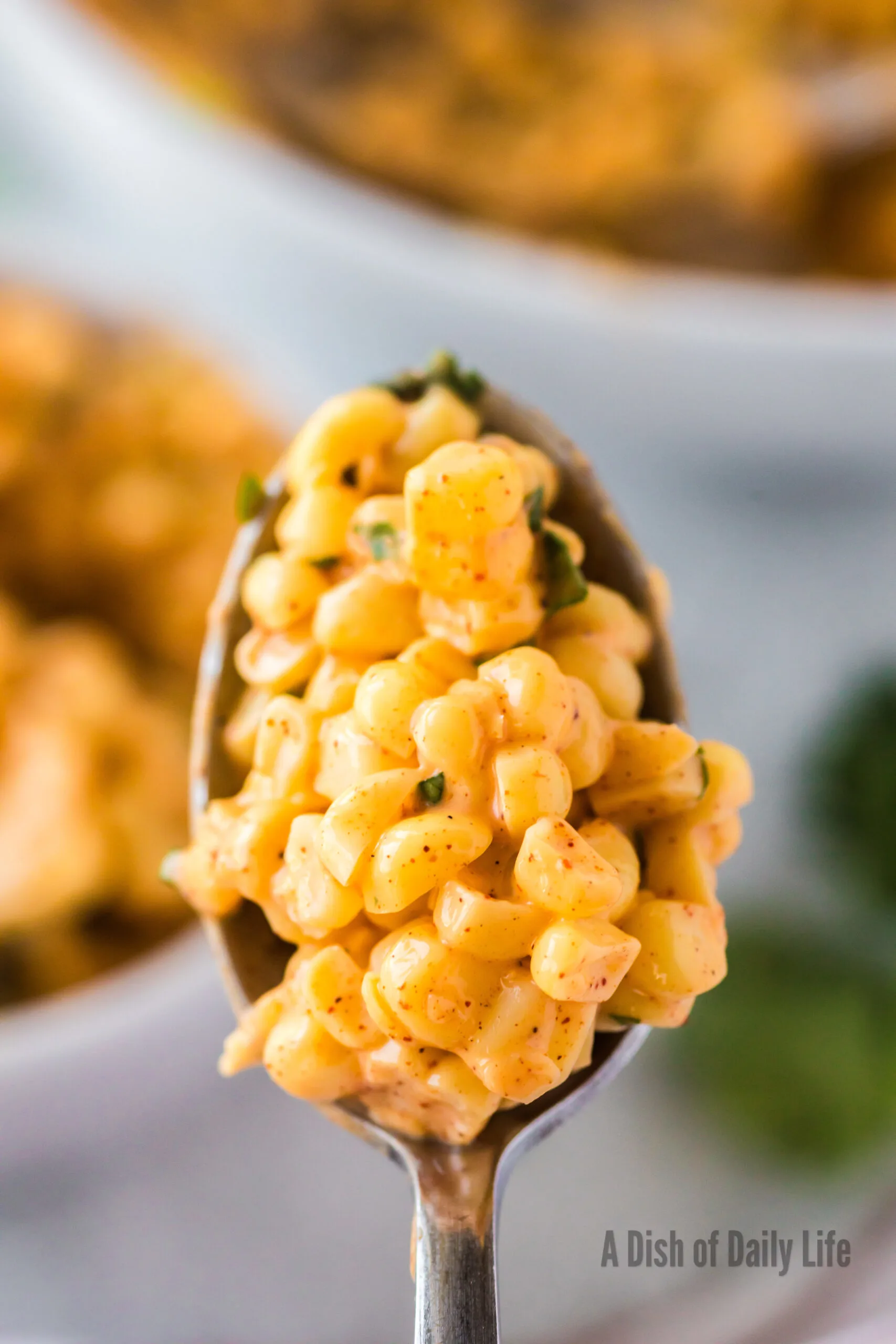 zoomed in image of corn on a spoon