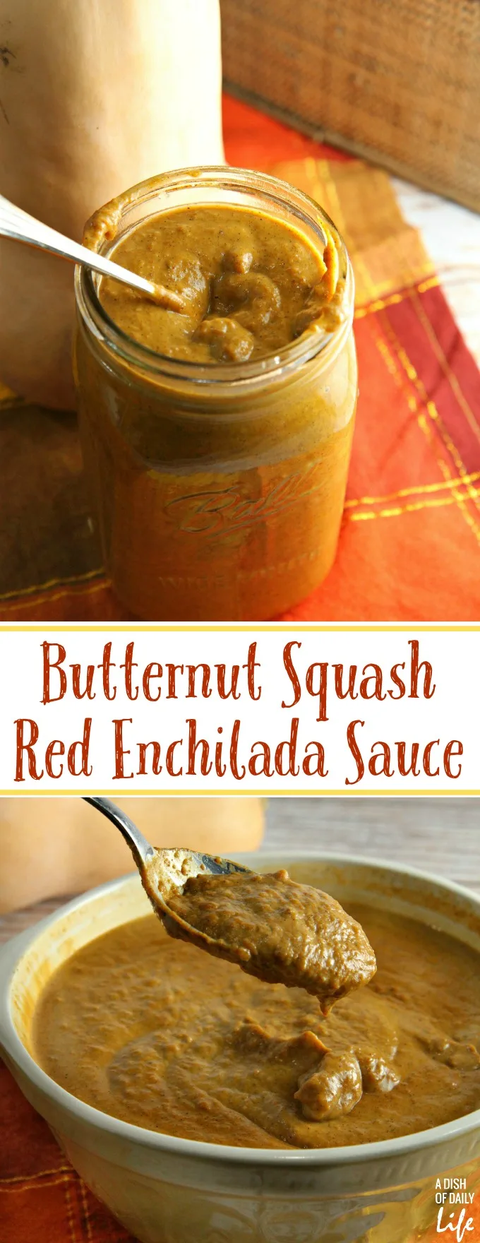 Add a seasonal twist to your homemade red chile enchilada sauce by adding roasted butternut squash. The resulting Butternut Squash Red Enchilada Sauce recipe is a versatile sauce that you can use with a variety of Mexican dishes!