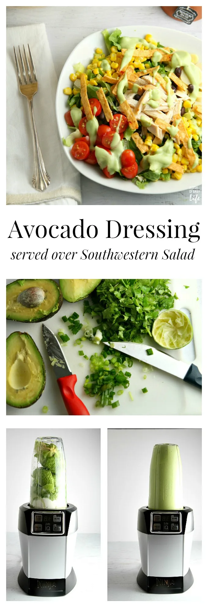 This Avocado Dressing is quite versatile...use it as a dip for vegetables, slather it on a sandwich or use it as a salad dressing! Shown with a Southwestern style salad, this is a great way to use up your leftover Thanksgiving turkey or a rotisserie chicken. 