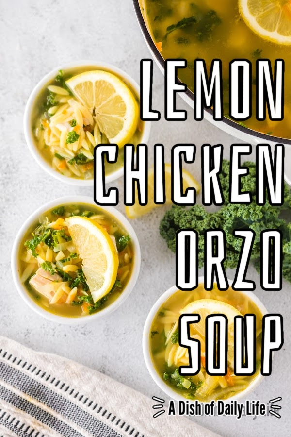 Main image for lemon chicken orzo soup