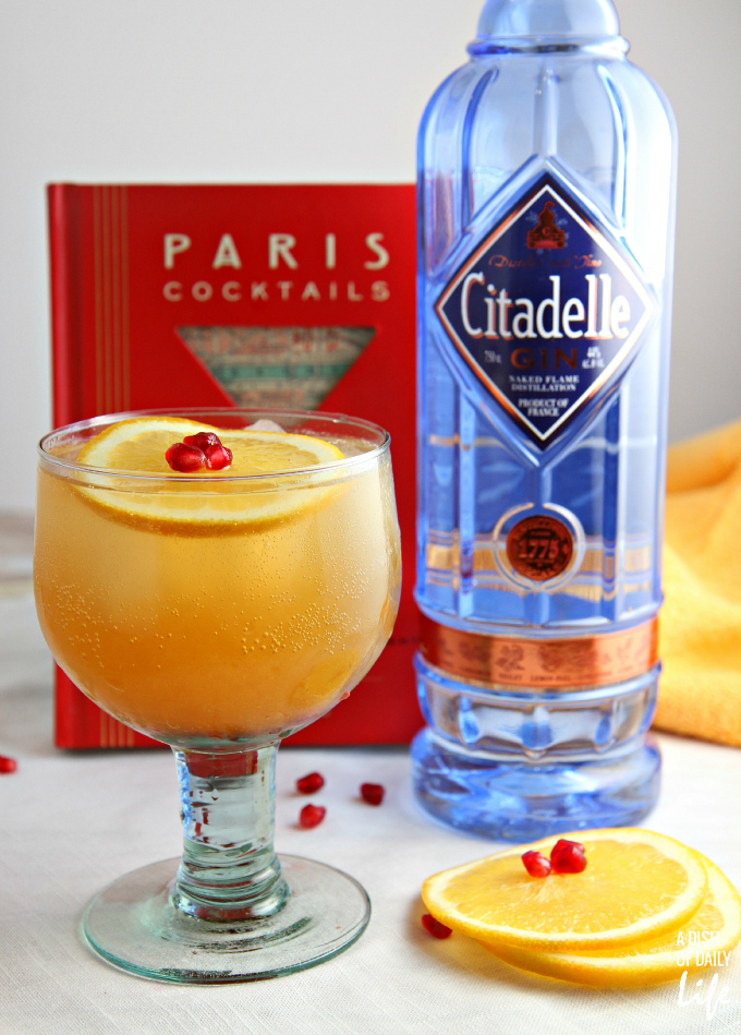 Celebrate the season with this Orange Pomegranate Gin Cocktail...winter fruits combine with Citadelle gin for the perfect holiday cocktail! Content for 21+