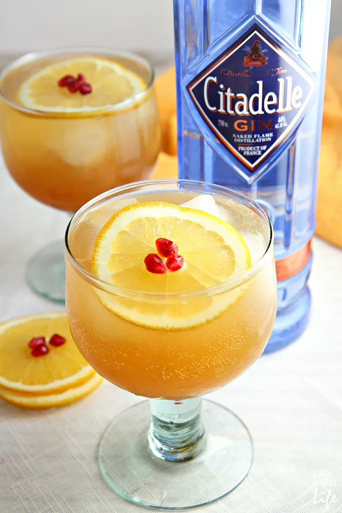 Celebrate the season with this Orange Pomegranate Gin Cocktail...winter fruits combine with Citadelle gin for the perfect holiday cocktail! Content for 21+